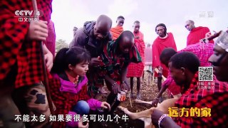 《远方的家》 20170822 特别节目——亲历“一带一路” 别有风味肯尼 | CCTV-4