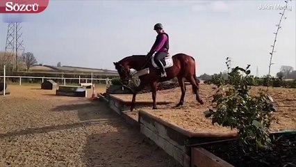 Sen misin beni suya sokan?