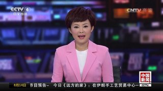 [中国新闻]英仙座流星雨如约而至 | CCTV-4