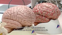 “Pasqyra e Shëndetit” – Sëmundja e epilepsisë (PJ 2)
