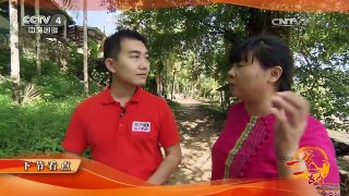 《远方的家》 20170724 一带一路（196）缅甸 丹老群岛 海上人家 | CCTV-4