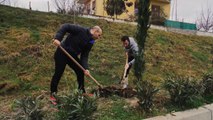 Report TV - Peshëngritësi Erkand Qerimaj i bashkohet aksionit për mbjelljen e 50 selvive