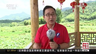 [中国新闻]全国最大梯田莲海举行文化旅游嘉年华 | CCTV-4
