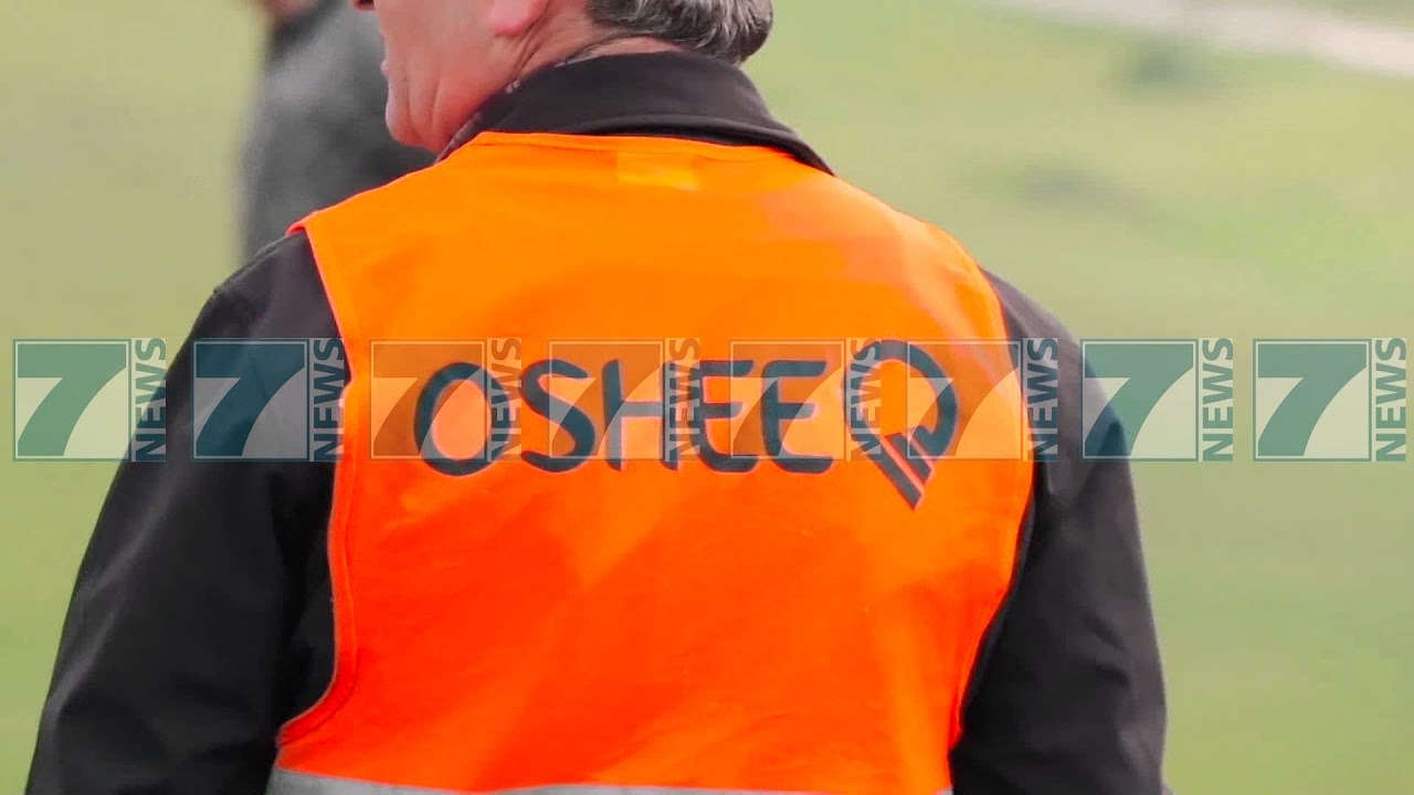 OSHEE «MOTI I KEQ KRIJOI DEFEKTE NE DISA RRETHE» - News, Lajme - Kanali 13