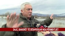 DAJC, BANORËT TË DËSHPERUAR NGA PËRMBYTJET