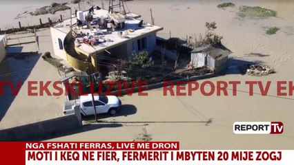 Report TV - Fier,fermeri tregon tmerrin nga uji: Më ngordhën 20 mijë zogj