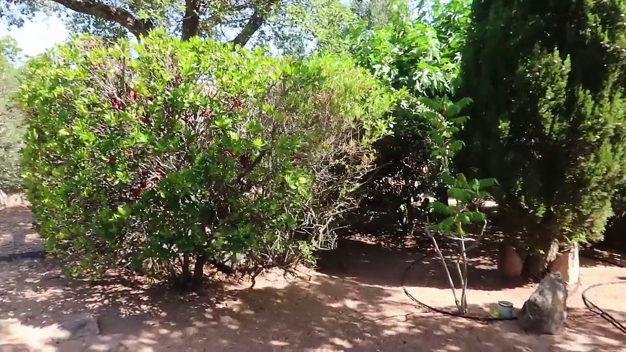 Corsica House Tour _ ON VOUS DIT TOUT sur notre Résidence en Corse  _ Home tour Stella d'Oro