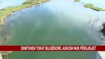 FSHATI GORICË NËN PUSHTETIN E UJIT