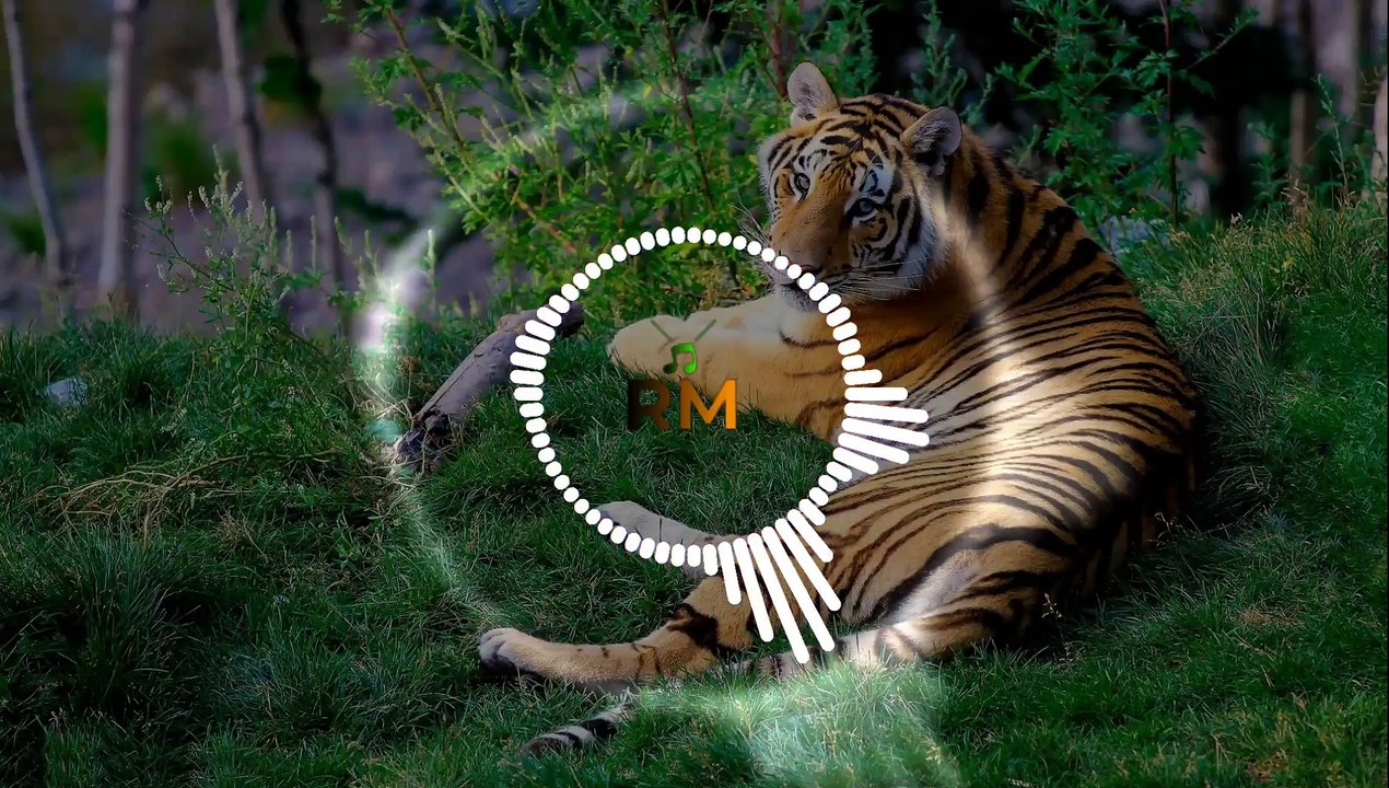Hare Krishna ringtone