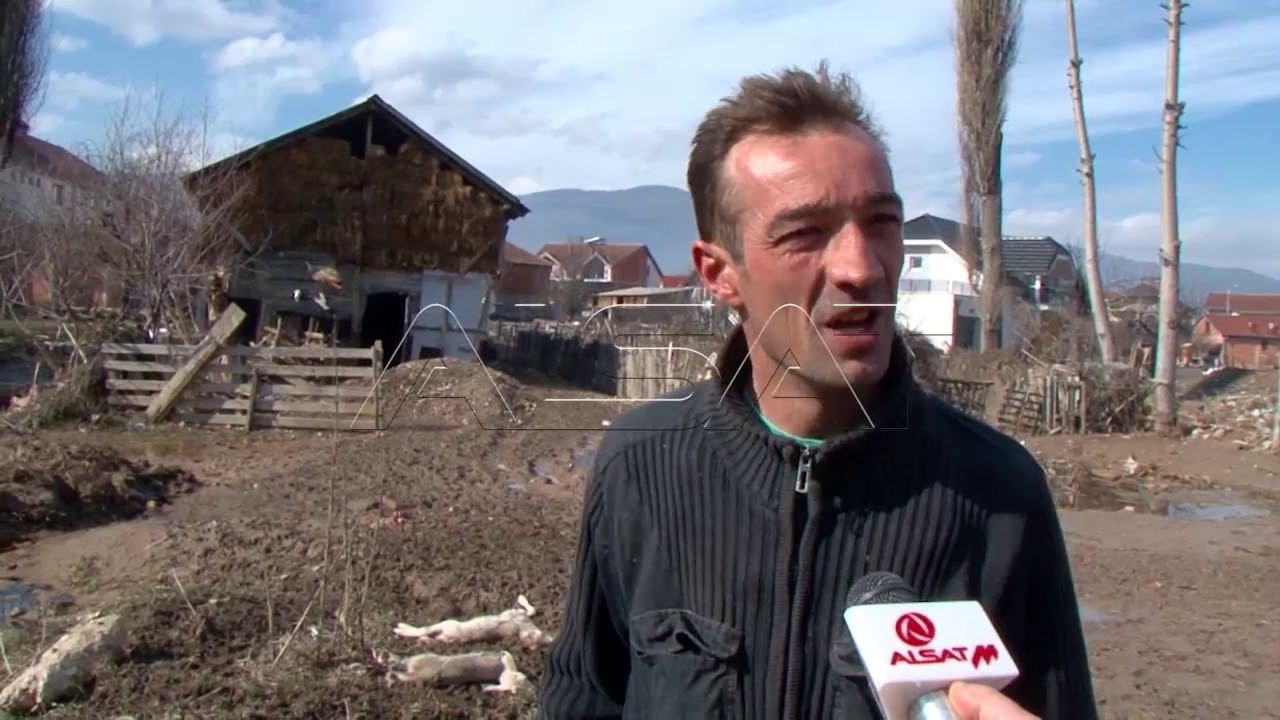 Поплави во Кичево, над 800 лица останаа без кро...