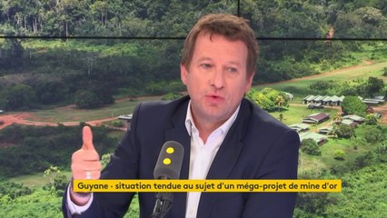 Projet de mine d'or en Guyane : "Ce sont des centaines d'hectares voués à la disparition (...) C'est une aberration économique (...) C'est notre Amazonie la Guyane", Yannick Jadot, eurodéputé Europe Écologie-Les Verts