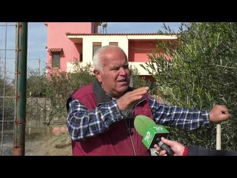 Vjosa lë pas baltën, banorët e Fitores: Na mbyti autostrada - Top Channel Albania - News - Lajme