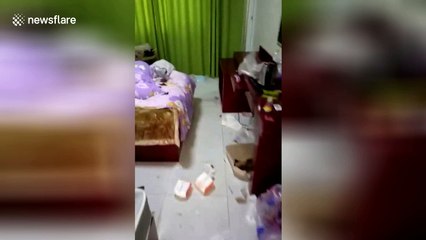 Landlady finds her apartment filled with rubbish
