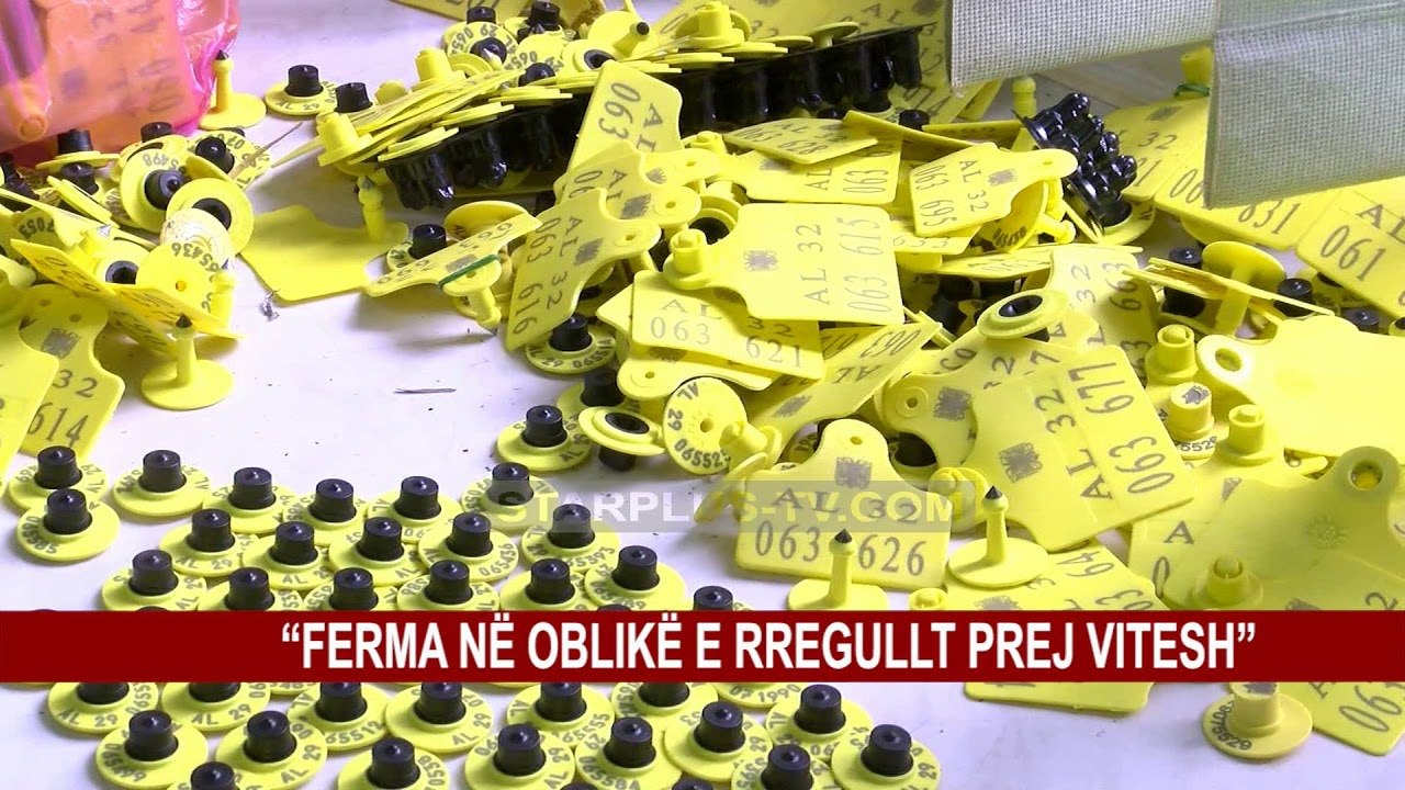 DYSHOHEJ PËR TUBERKULOZ, FERMA E PASTËR