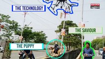 Inde : Il sauve un chiot en lui construisant un drone spécial (Vidéo)