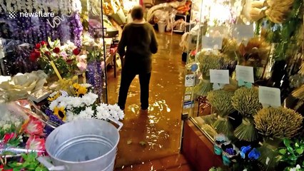 Heavy downpour floods streets in Greece's Thessaloniki