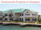 Commercial Office Space in Gurgaon