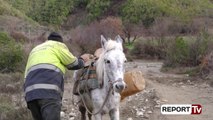 Lagjia e izoluar, banorët e Lumares lëvizin ende me mushka, pas 27 vitesh rruga po bëhet realitet