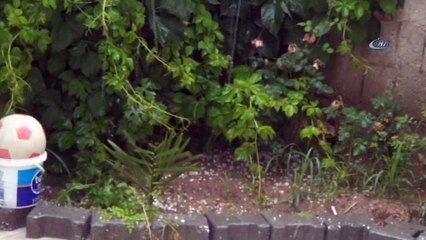 Akçakale'ye Mayıs ayında dolu şoku