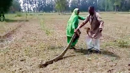 Meerut की Woman ने पकड़ा huge python, बच्चों की बचाई जान, Viral Video | वनइंडिया हिन्दी