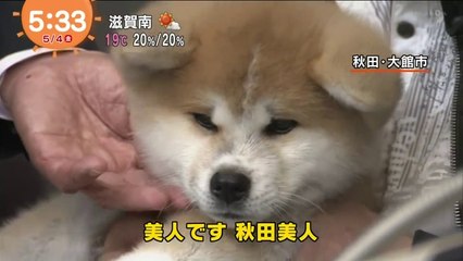 5/4 ザキトワ選手へマサル贈呈へ