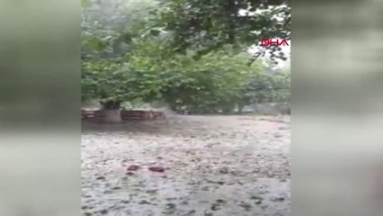 Adana-Şiddetli Dolu Yağışı, Çifçiyi Vurdu