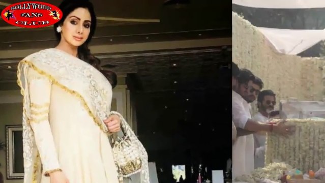 श्रीदेवी की मौत का मामला सर्वोच्च न्यायालय पहुंचा !