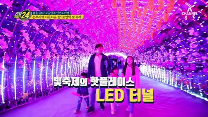 태안 튤립축제 제대로 즐기는 법! 야경 끝판왕 빛축제 (ㅎㄷㄷ)