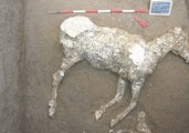 Pompeii Archaeologists Uncover Remains of Horse That Perished in Vesuvius Eruption