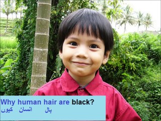 Class 3 English Lesson 51,  blends bl, fl, pl in urdu