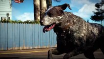 FAR CRY (part 4)-Boomer- (Ps 4)
