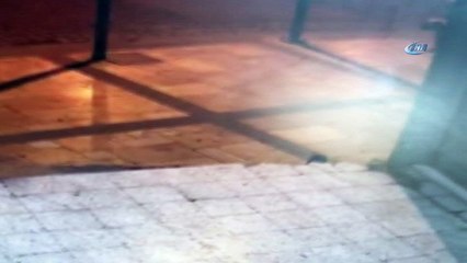 Köpeği öldürüp, tecavüz ettiği iddia edilen şahıs kamerada
