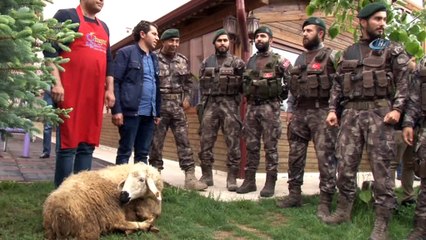 Zeytin Dalı kahramanları Sivas’a döndü