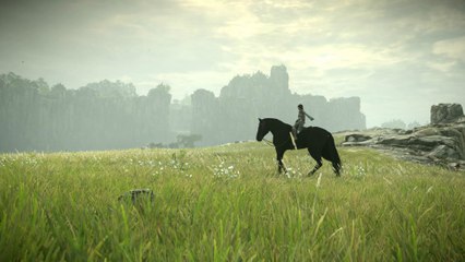 L'épopée Shadow of the Colossus Remake #8