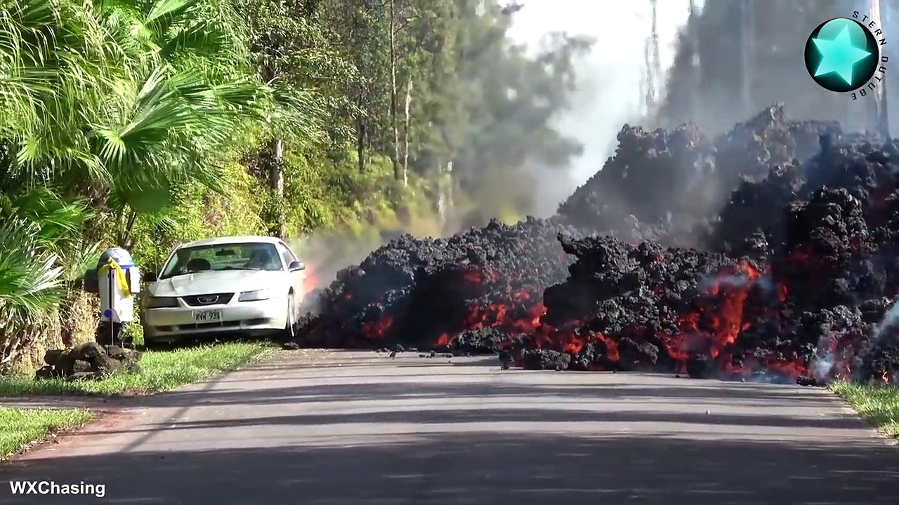 Coole COUBs #117 || ✪ Stern DuTube