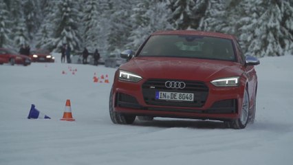 Ski athletes at Audi driving experience Demonstration