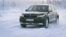 Vergleich - Skoda Kodiaq vs. Skoda Superb Combi im Test