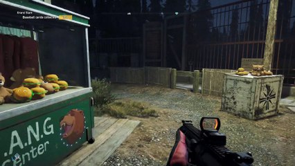 孤岛惊魂5 / Far Cry 5  （ 第20 集 ）STORY MISSION ( A RIGHT TO BEAR ARMS )  华语字幕 ，华语解释,