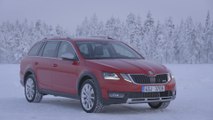 Skoda Octavia Scout Design in winter conditions