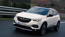 Opel Grandland X Ultimate Preview