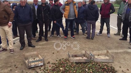 Ora News - Banorët e Frakullit nxjerrin në rrugë luleshtrydhet e dëmtuara nga përmbytjet