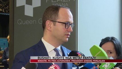 Bushati: Kushte nga Meta? Fantazi! - News, Lajme - Vizion Plus