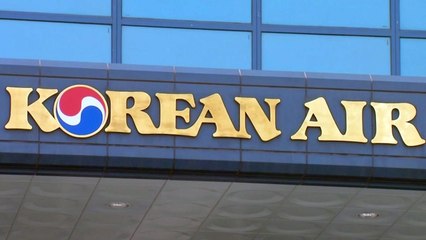 출입국당국까지 압수수색...한진 일가 전방위 압박 / YTN