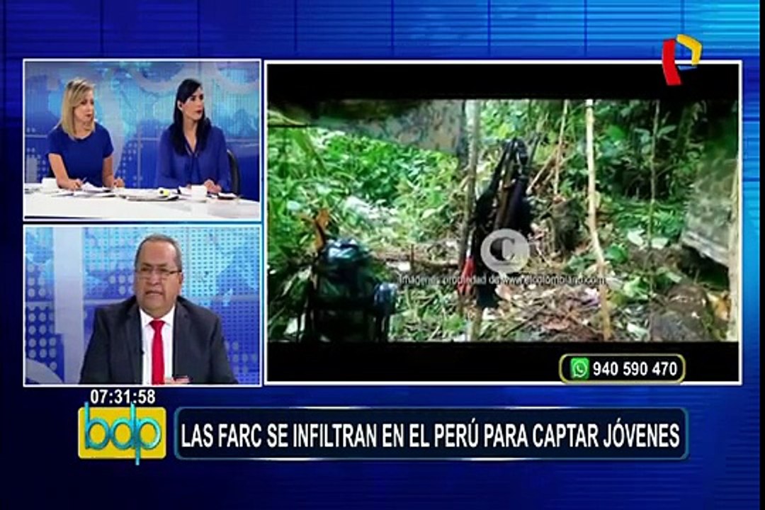 Exmiembro Gein opina sobre ingreso de presuntos disidentes de las Farc a Perú