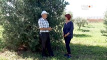 Histori shqiptare nga Alma Çupi - Valiasi, arka e Noes e bimësisë autoktone! (24 shkurt 2018)