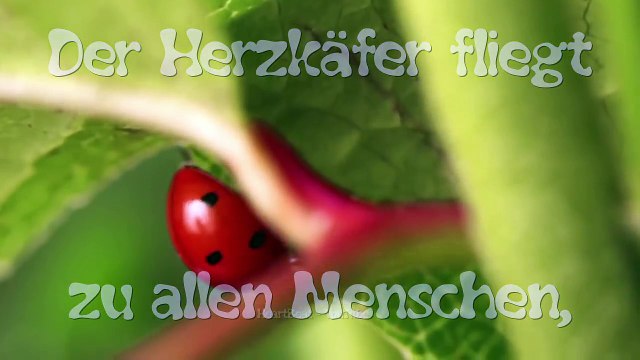 Das ist ein Herzkäfer Er fliegt zu allen Menschen, die ich gerne mag Schön dass es Dich gibt!