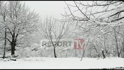 Report TV - Situata nga reshjet e dëborës në Dibër