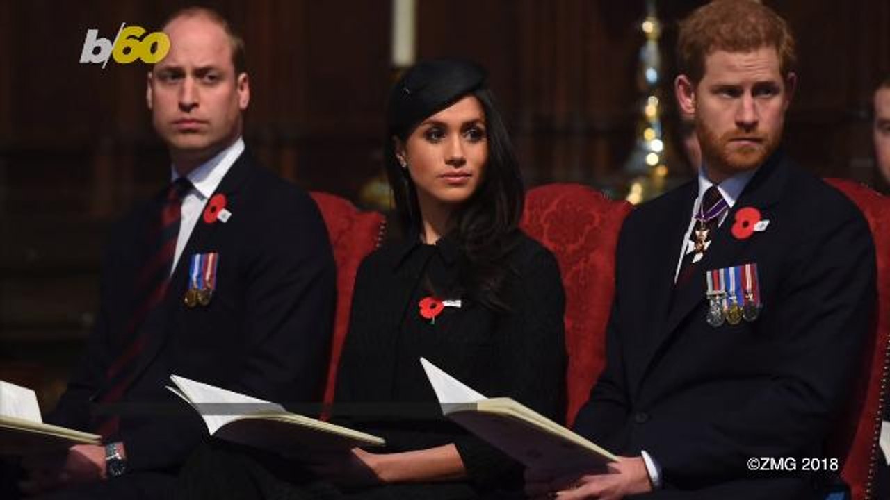 Prince Harry & Meghan Markle Are (Literally) Under a Microscope in New Art