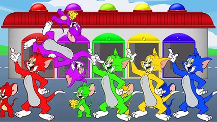 Learn Color with Tom and Jerry !!! Color for Kids and Toddlers Education Cartoon Videos