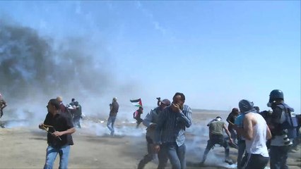 الاحتلال يقتل فلسطينيا ويصيب 730 في غزة